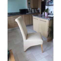 Dining Room Chairs