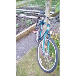 Classic Marrin Men's Mountain Bike