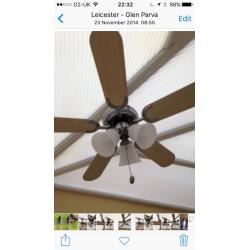 Ceiling fan Fantasia 5 arn