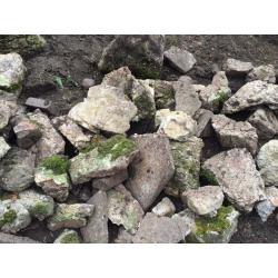 Rocks for rockery