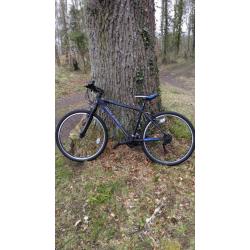 BIKE Raleigh Talus 1.0