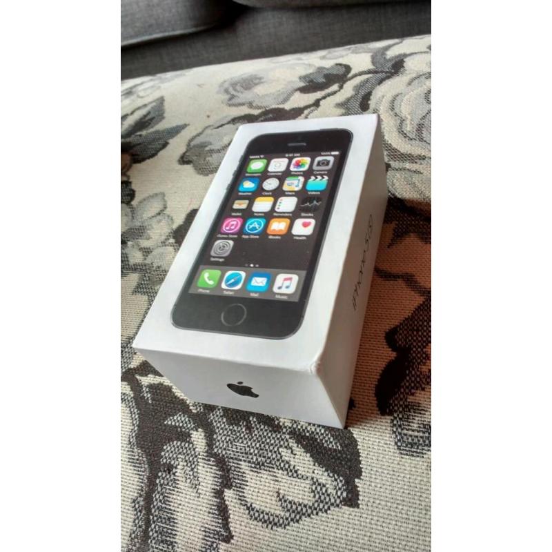 Iphone 5S 16GB Mint