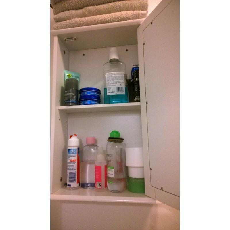 bathroom cabinet with mirror