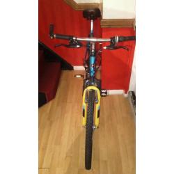 MENS LARGE MOUNTAIN BIKE