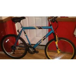 MENS LARGE MOUNTAIN BIKE