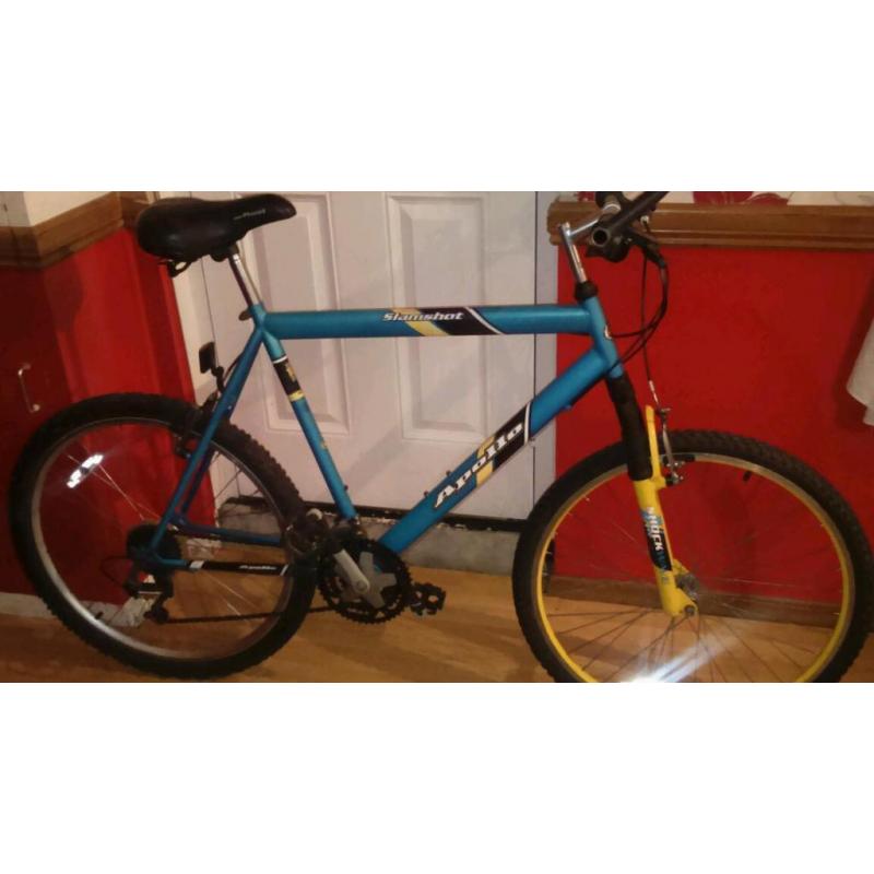 MENS LARGE MOUNTAIN BIKE