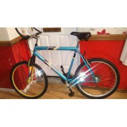 MENS LARGE MOUNTAIN BIKE