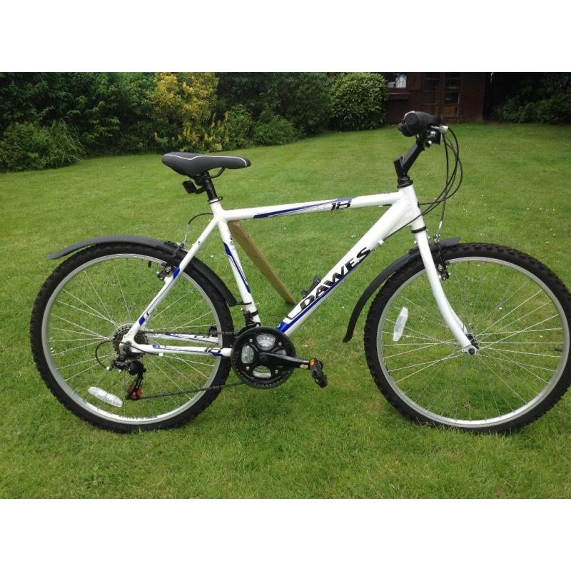 Gents mountain bike