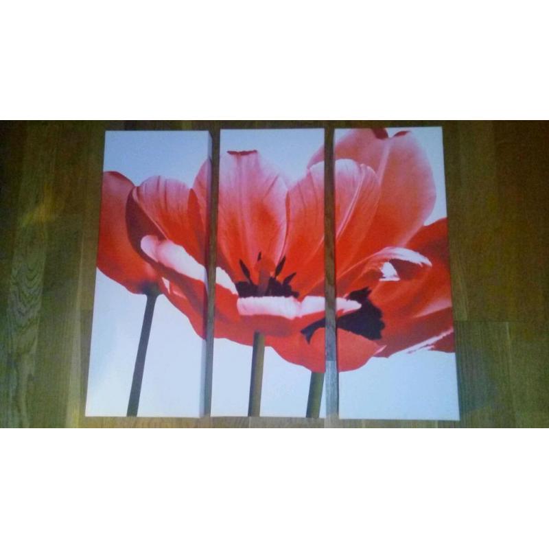 Next canvas tryptic poppy print picture wall hanging