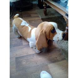 Beautiful Basset Hound Soft Toy