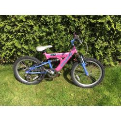 Skyline Kids Push Bike