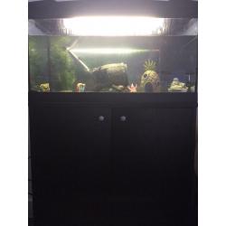 Fish Tank 50L and Cupboard Stand - Everything Included