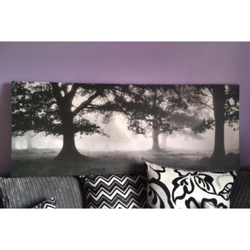 Large black and white forest trees canvas picture