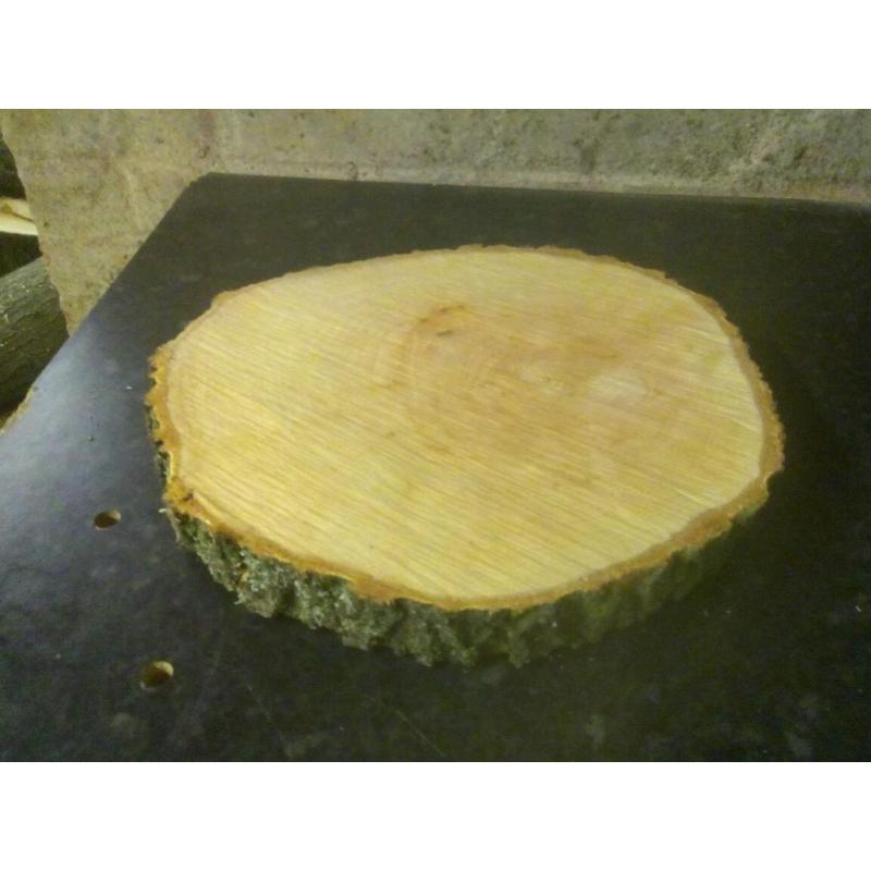 Log slices