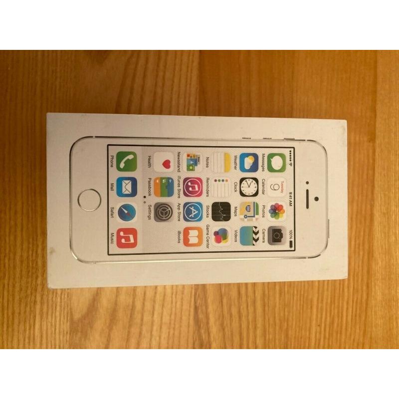 Silver iPhone 5s